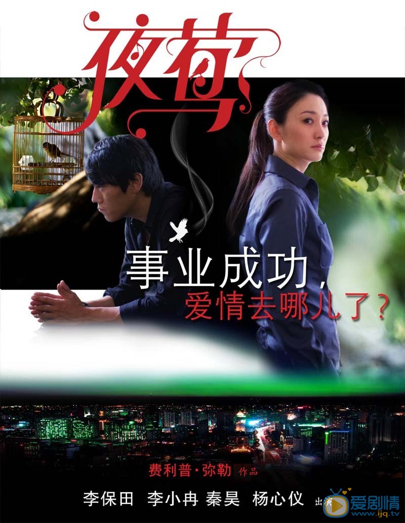 电影夜莺简介 夜莺高清无水印海报