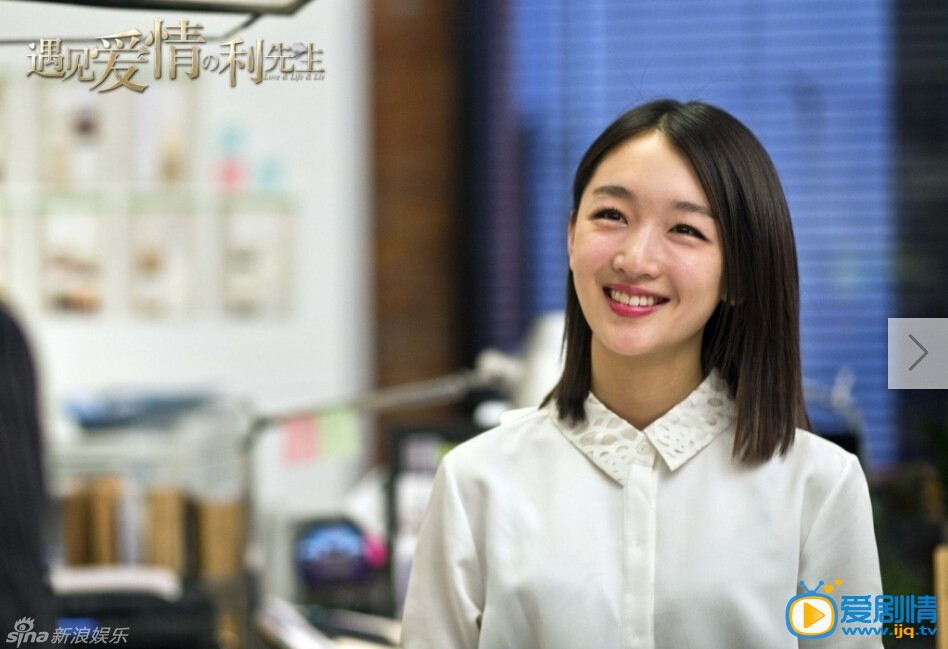 遇见爱情的利先生剧情介绍 遇见爱情的利先生剧照