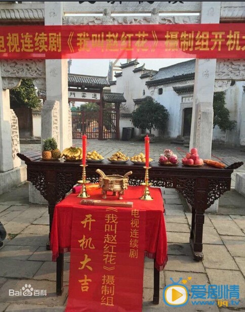 我叫赵红花剧照