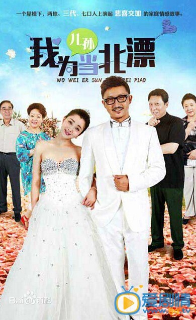 我为儿孙当北漂海报