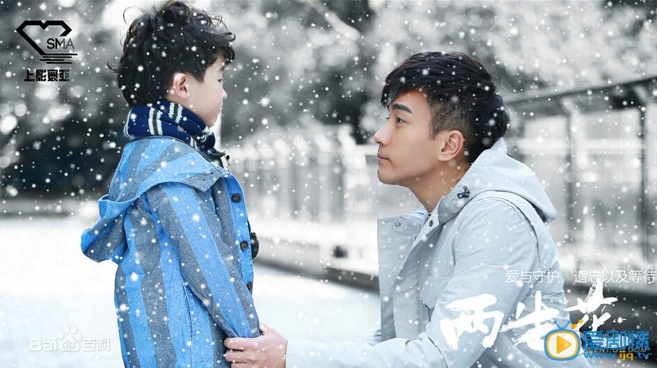 秦漠两生花剧情介绍 两生花秦漠剧照