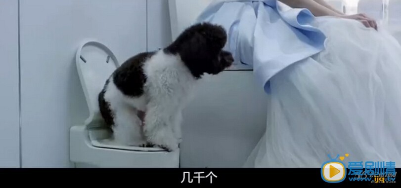 神探驾到剧情介绍