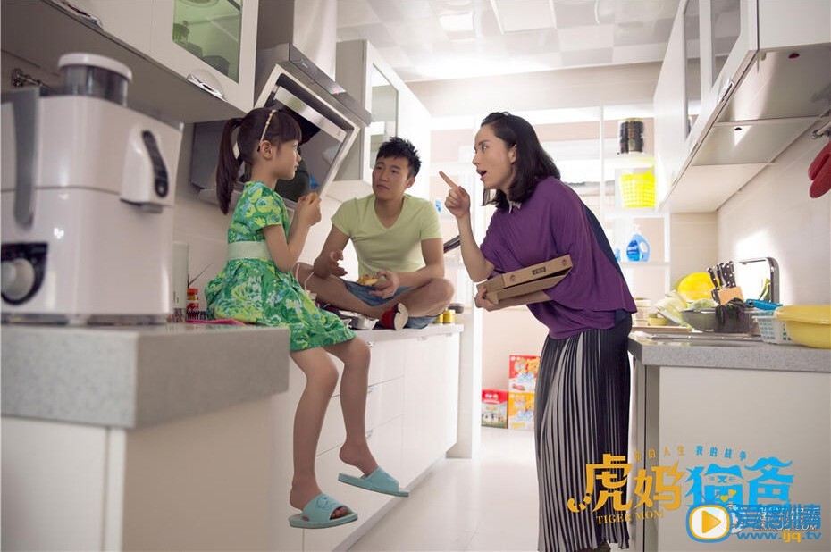 虎妈猫爸虎妈猫爸剧情介绍 虎妈猫爸罗丹剧照