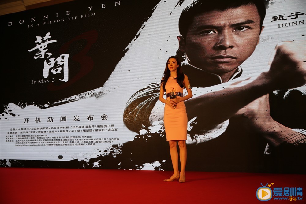叶问3什么时候上映 上映时间