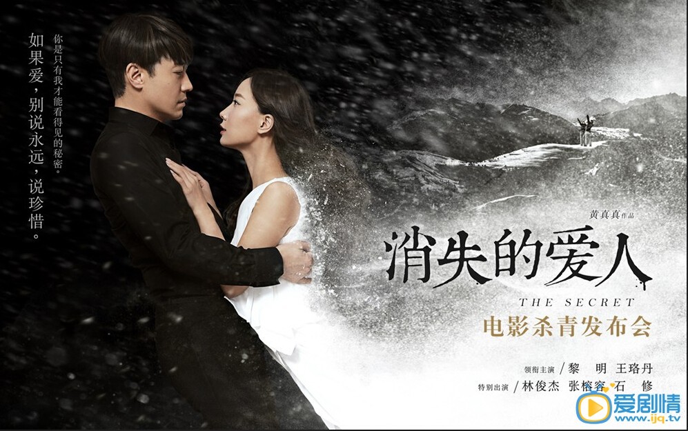 消失的爱人什么时候上映 上映时间