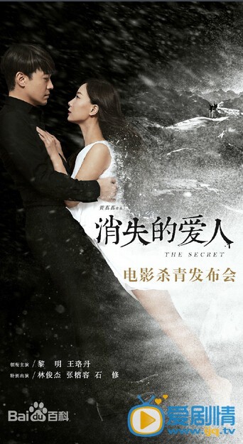 消失的爱人海报