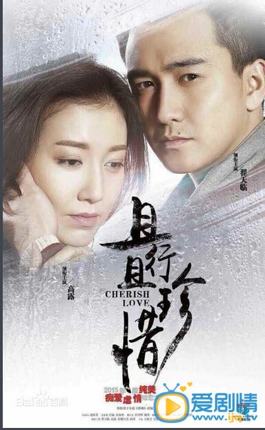 且行且珍惜剧情介绍 且行且珍惜海报
