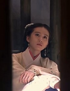 女医明妃传遭吐槽 继阿胶之后被“神翻译”雷的外焦里嫩