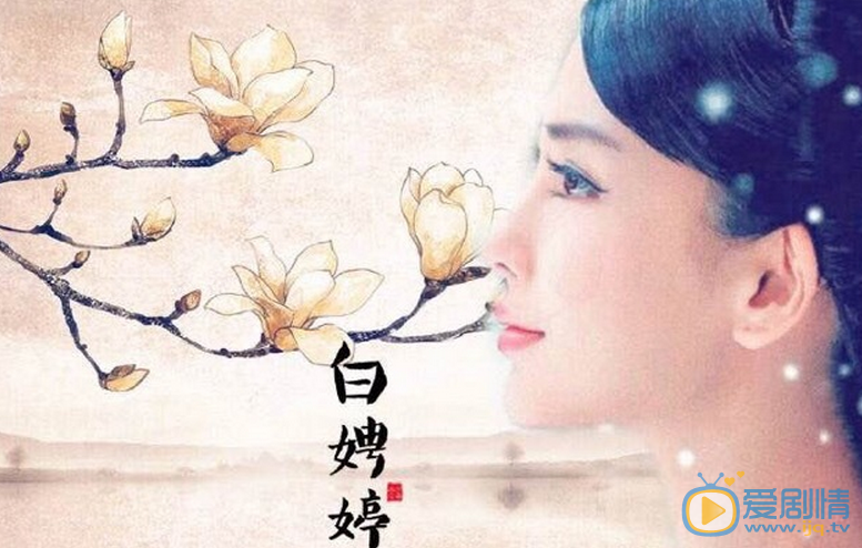 孤芳不自赏剧照