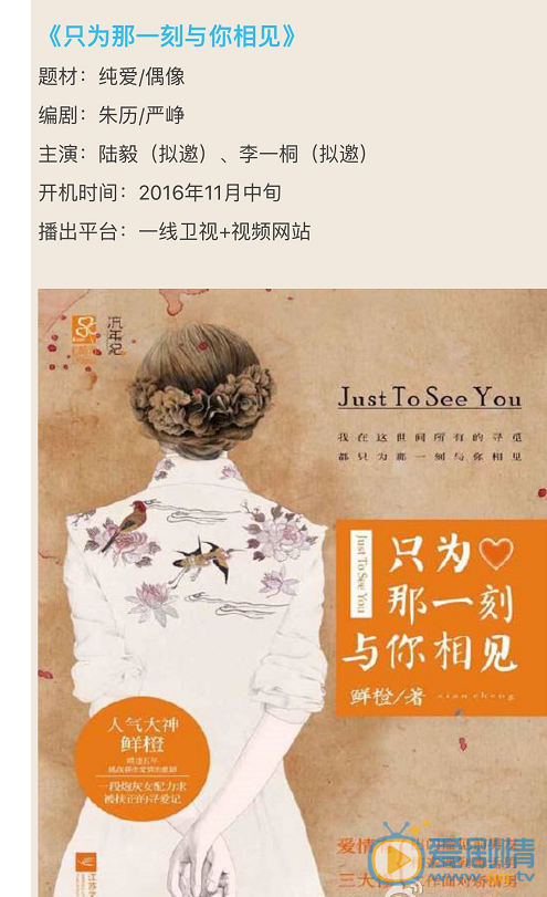 只为那一刻与你相见海报