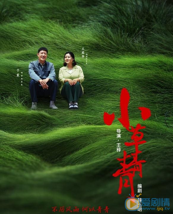 小草青青海报