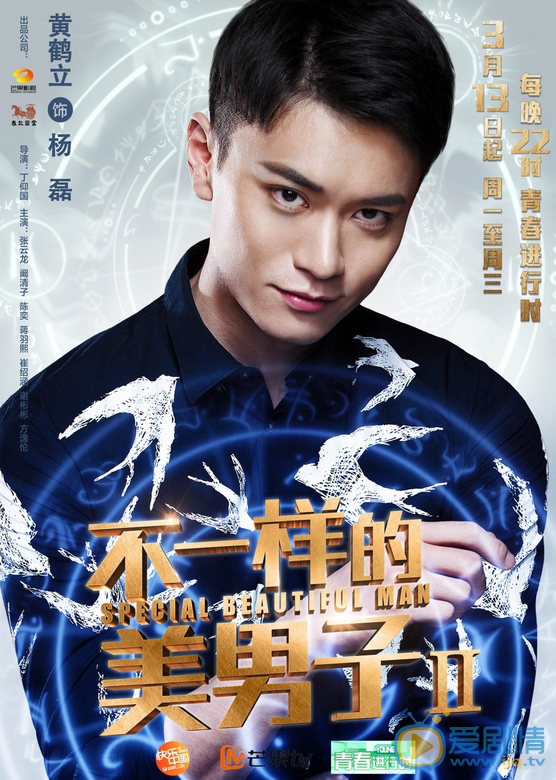 不一样的美男子2海报