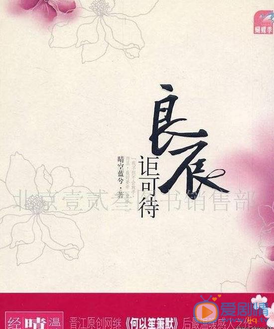 良辰讵可待海报