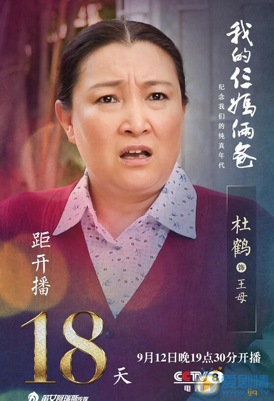我的仨妈俩爸海报