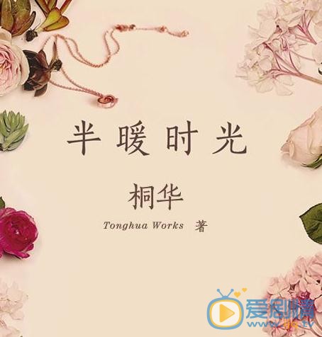 半暖时光海报