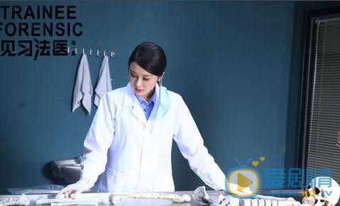 见习法医剧照