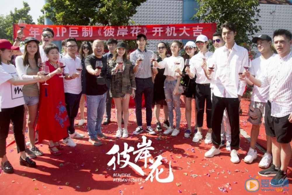 彼岸花开机发布会