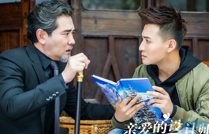 亲爱的设计师剧照