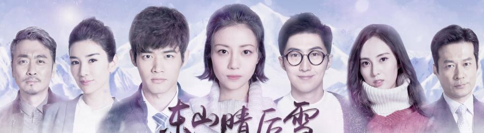 东山晴后雪海报