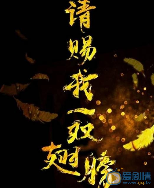 请赐我一双翅膀海报
