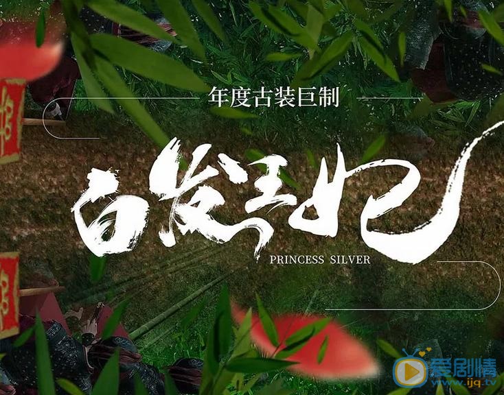 白发王妃海报