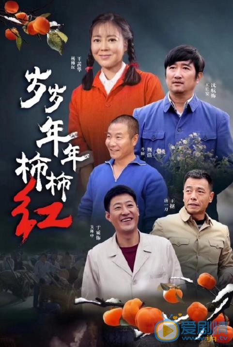 岁岁年年柿柿红海报