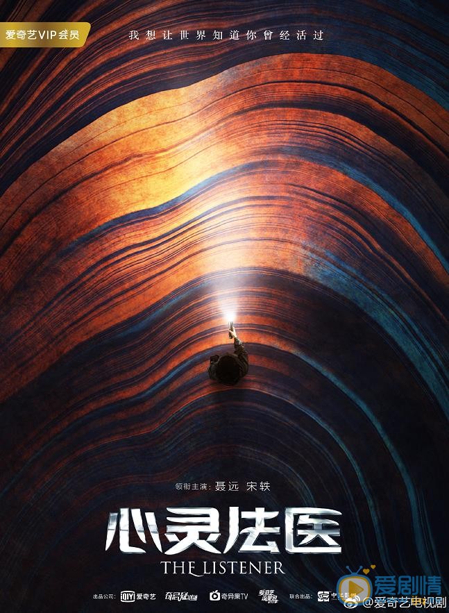 心灵法医海报