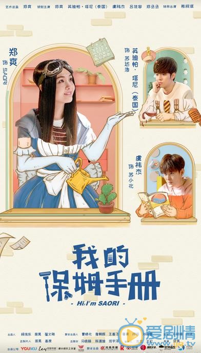 我的保姆手册海报