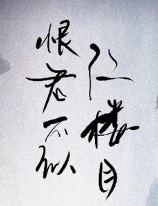 恨君不似江楼月