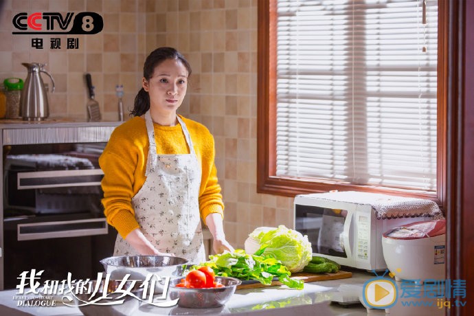 我和我的儿女们剧情介绍(1-40集大结局)