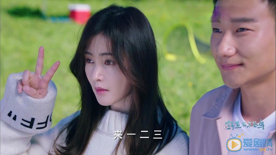鳄鱼与牙签鸟剧情介绍(1-50集大结局)