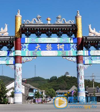 大梨树剧照