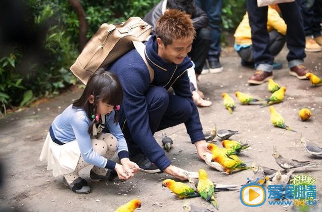 爸爸去哪儿剧照