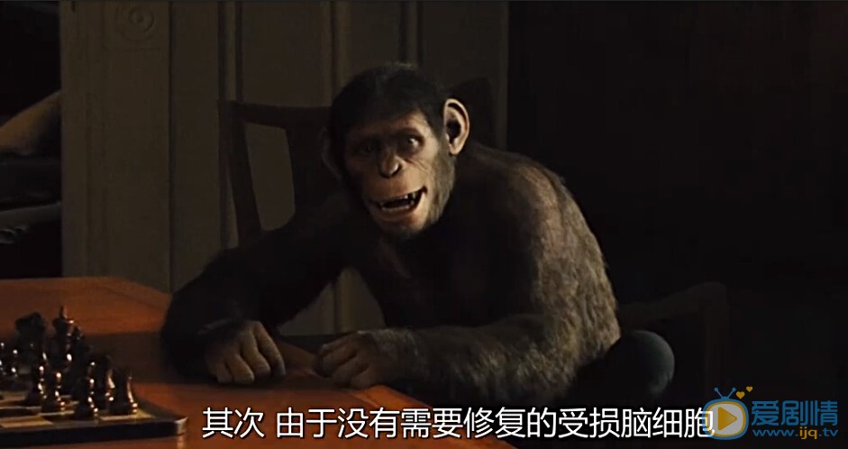 猩球崛起精彩剧照