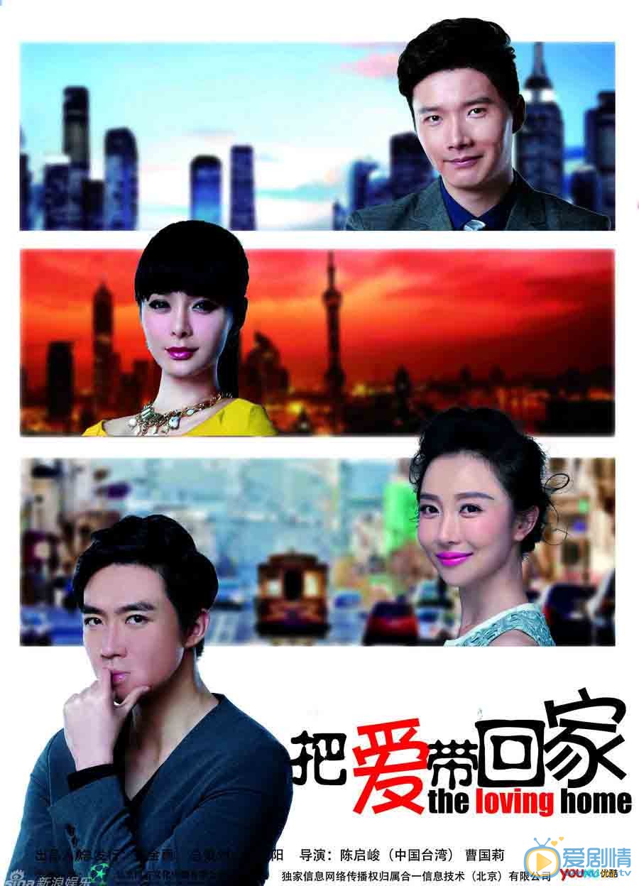 电视剧把爱带回家高清海报