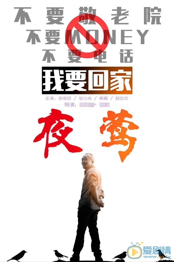 电影夜莺简介 夜莺高清无水印海报