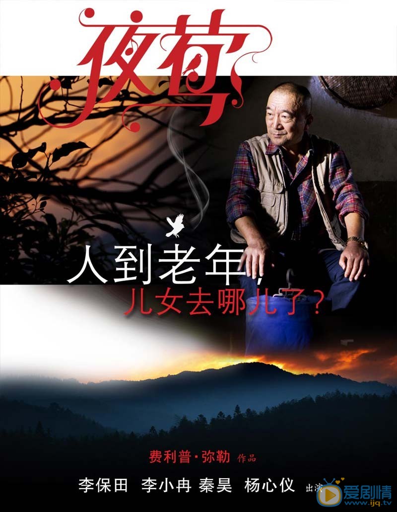 电影夜莺简介 夜莺高清无水印海报