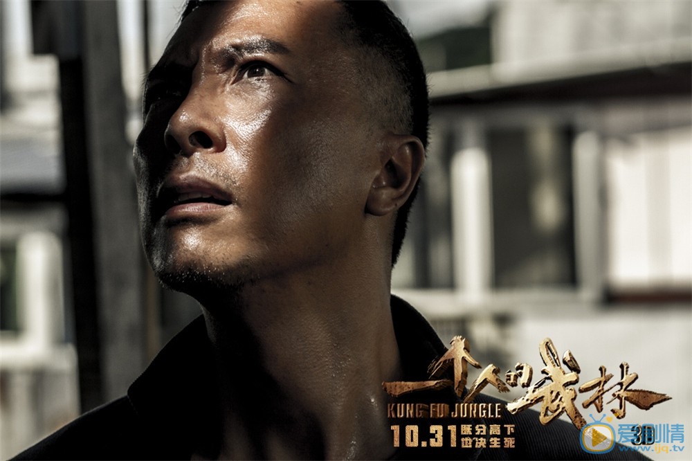一个人的武林简介 一个人的武林高清剧照