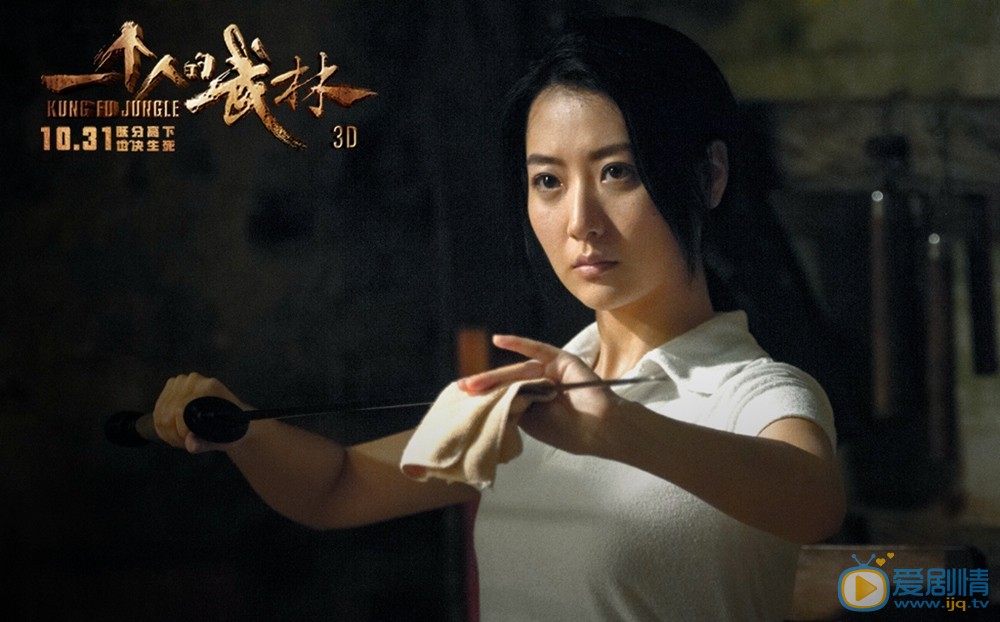一个人的武林简介 一个人的武林高清剧照