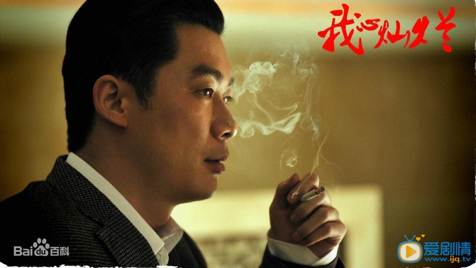 我心灿烂剧情介绍(1-35集大结局)