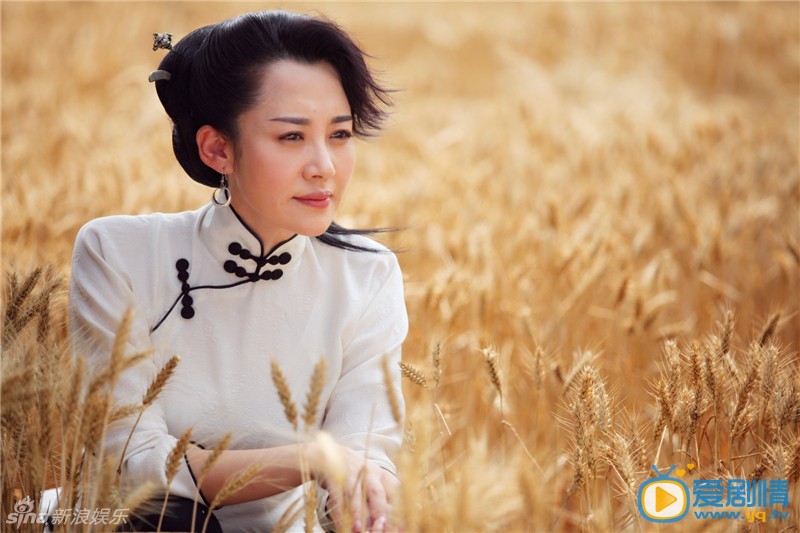 来势凶猛剧情介绍(1-58集大结局)