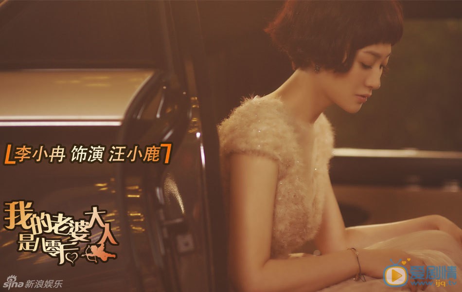 我的老婆大人是八零后剧照