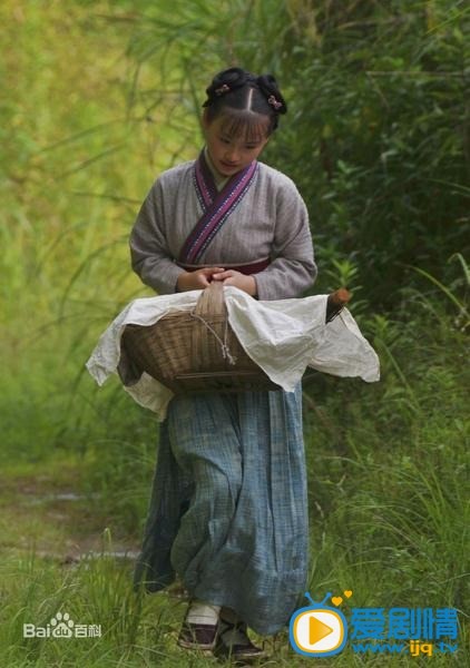医圣剧情介绍(1-38集大结局)