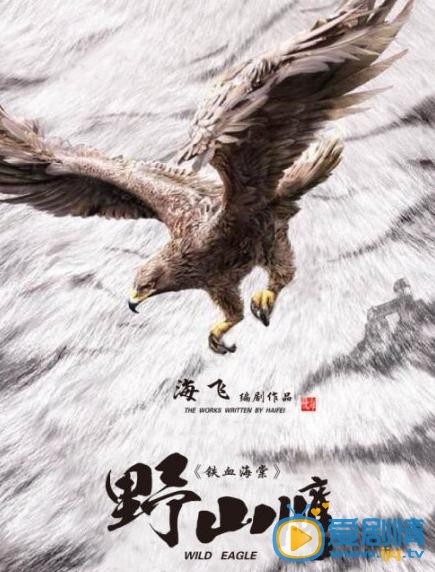 野山鹰海报