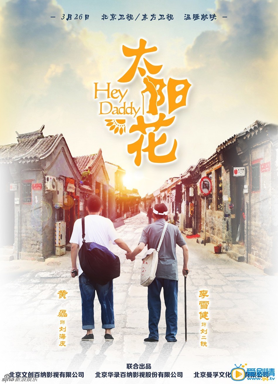 电视剧太阳花剧情介绍 《太阳花》高清背影海报
