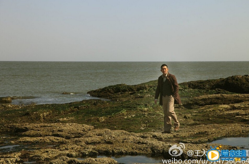 王大花的革命生涯剧照