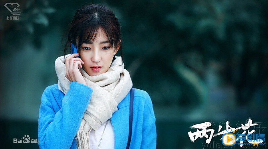 两生花剧情介绍  两生花高清剧照
