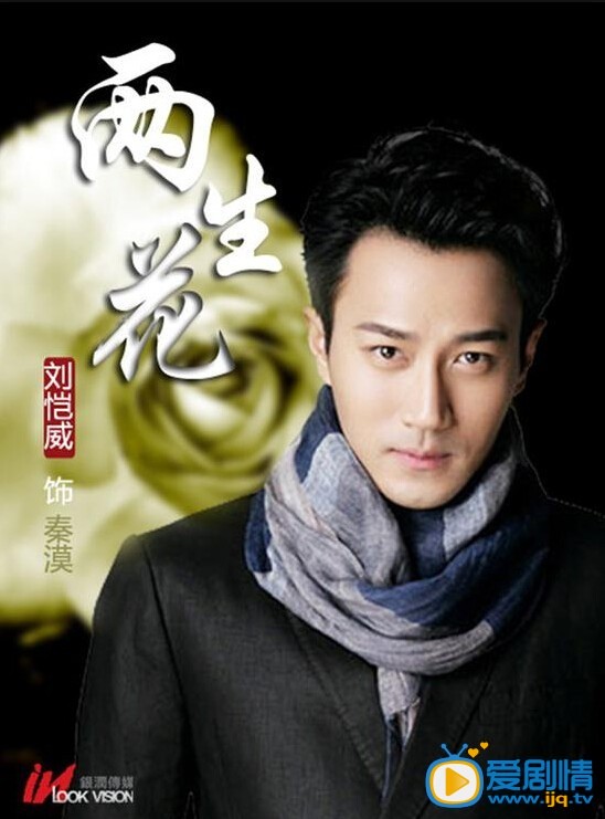 两生花剧情介绍 两生花高清海报