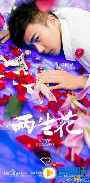 两生花剧情介绍 两生花高清海报