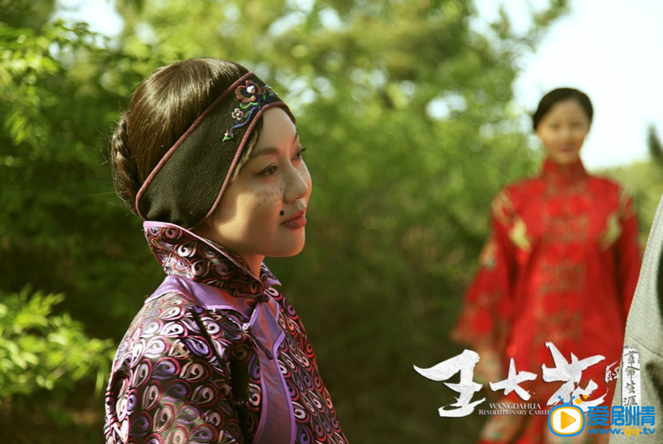 王大花的革命生涯剧照